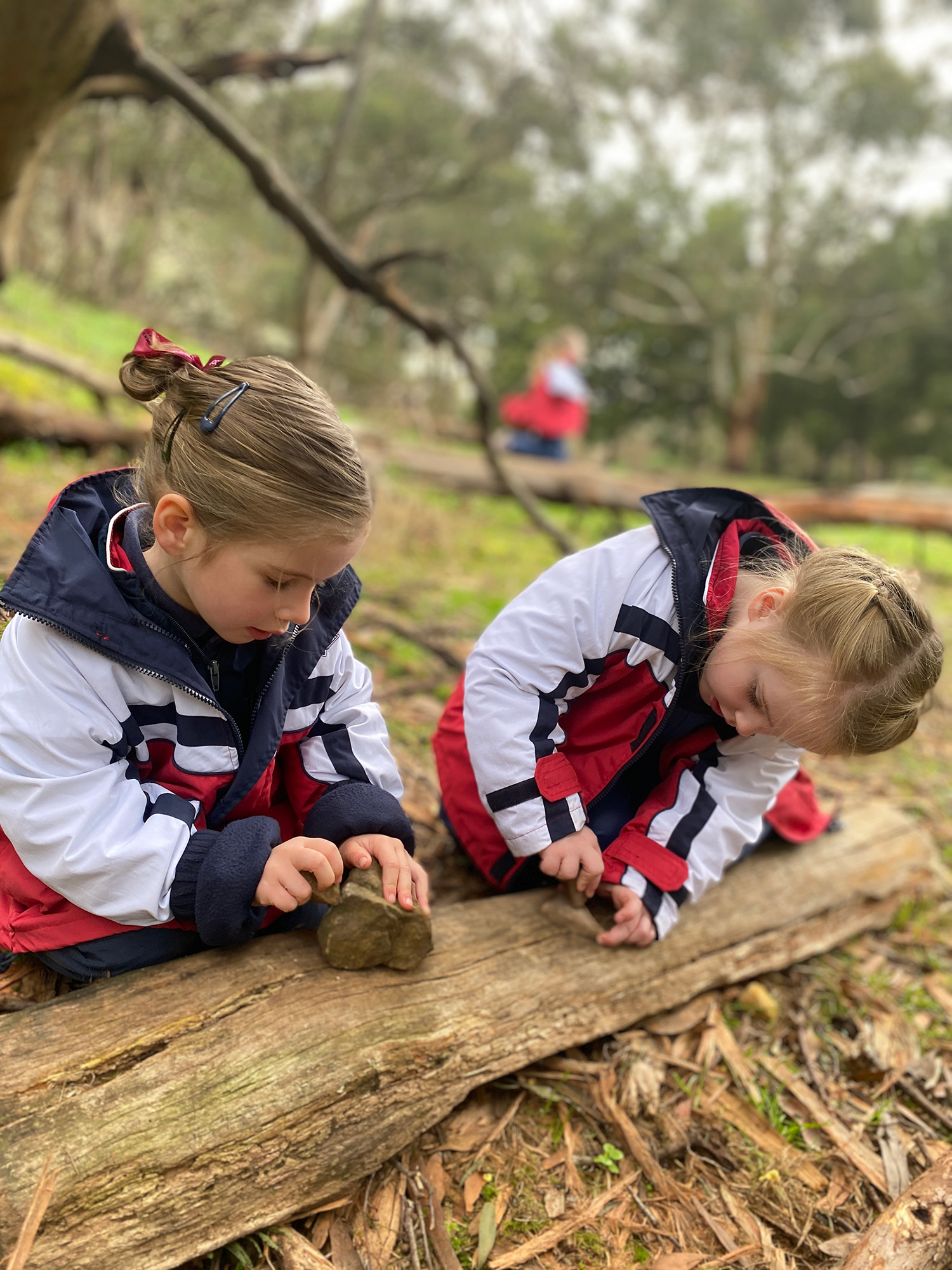 Project Based Learning