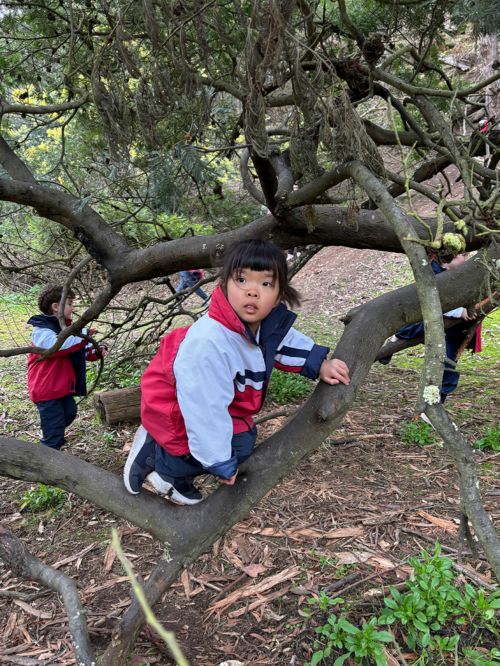 Experiential Learning in Kindergarten