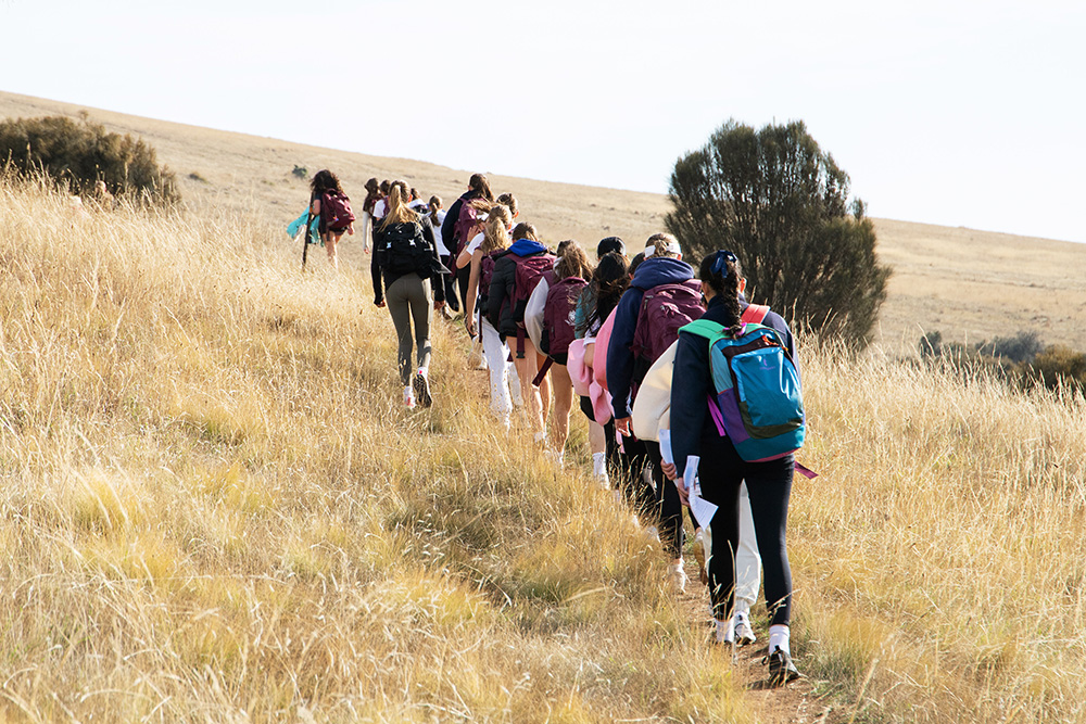 How we will move forward